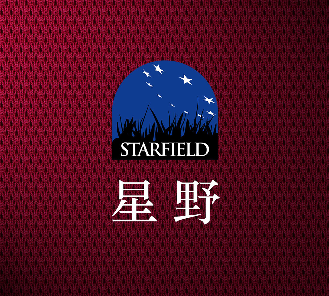 星野(图1)