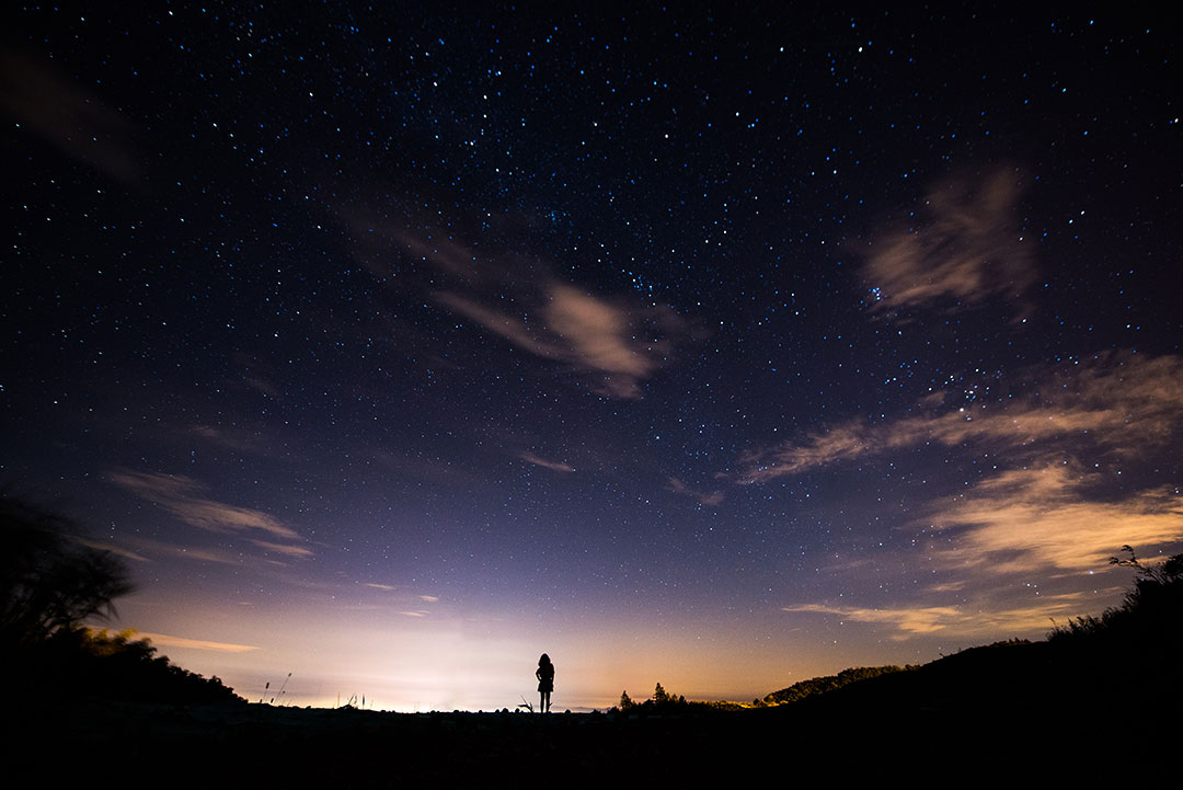 星野(图4)