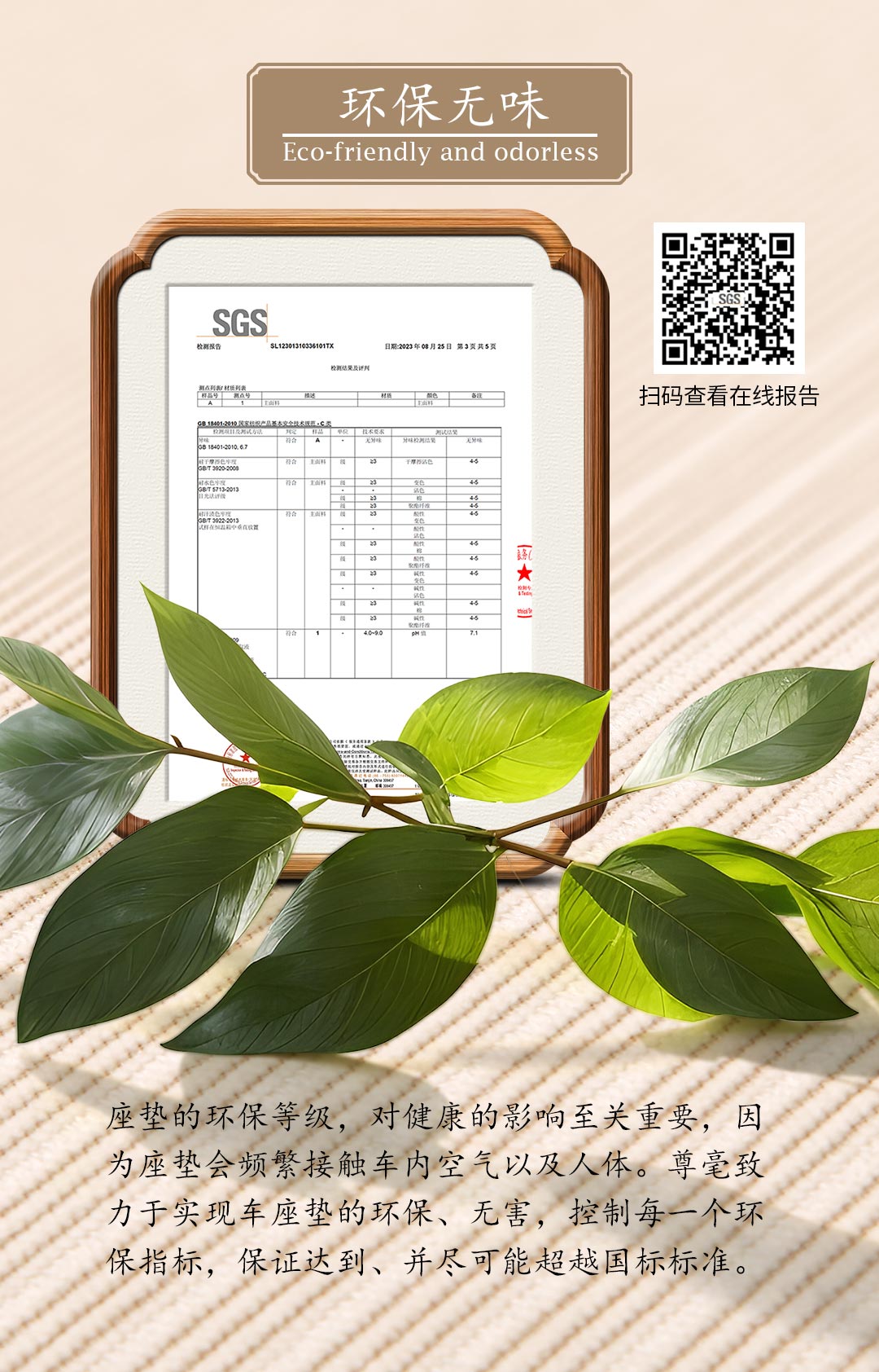 云玑(图6)