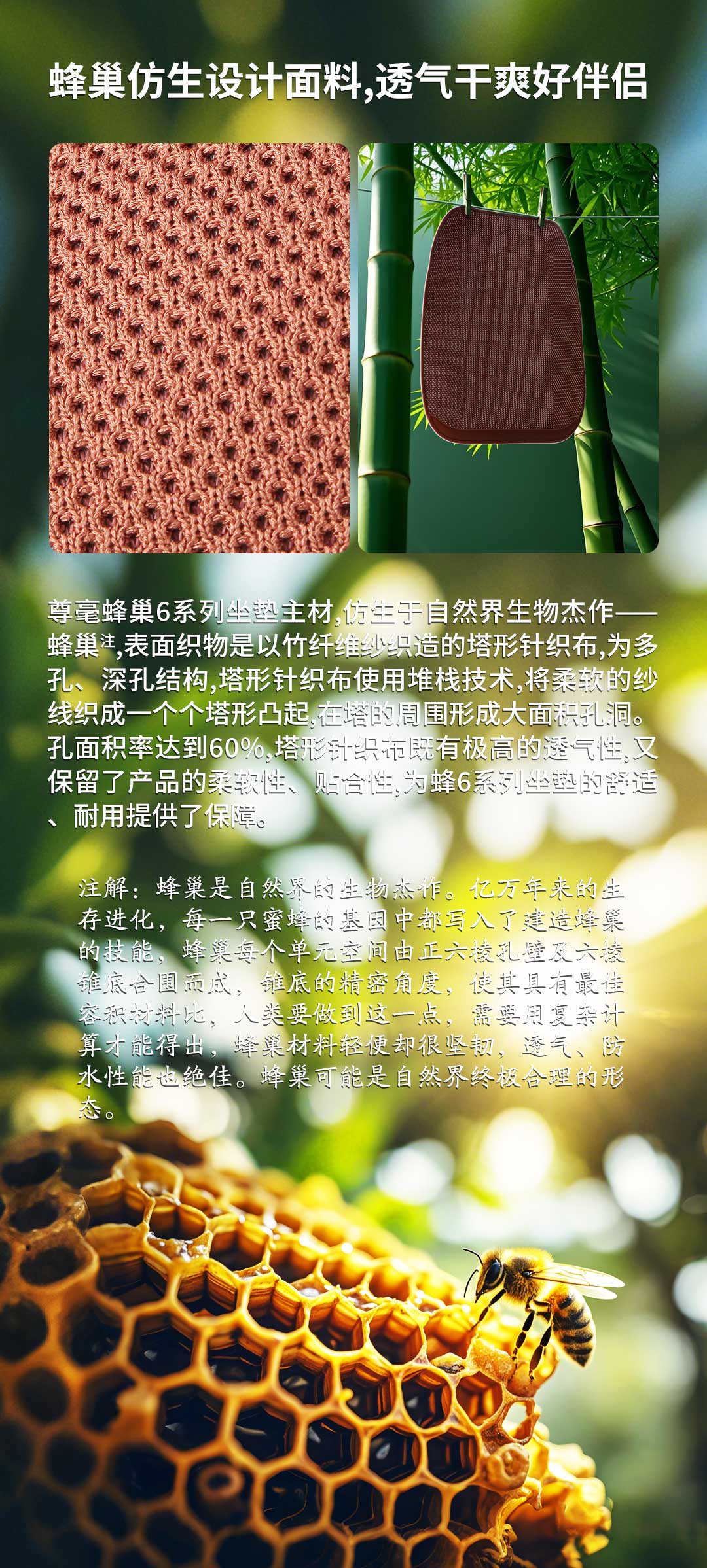 蜂巢6系列(图2)