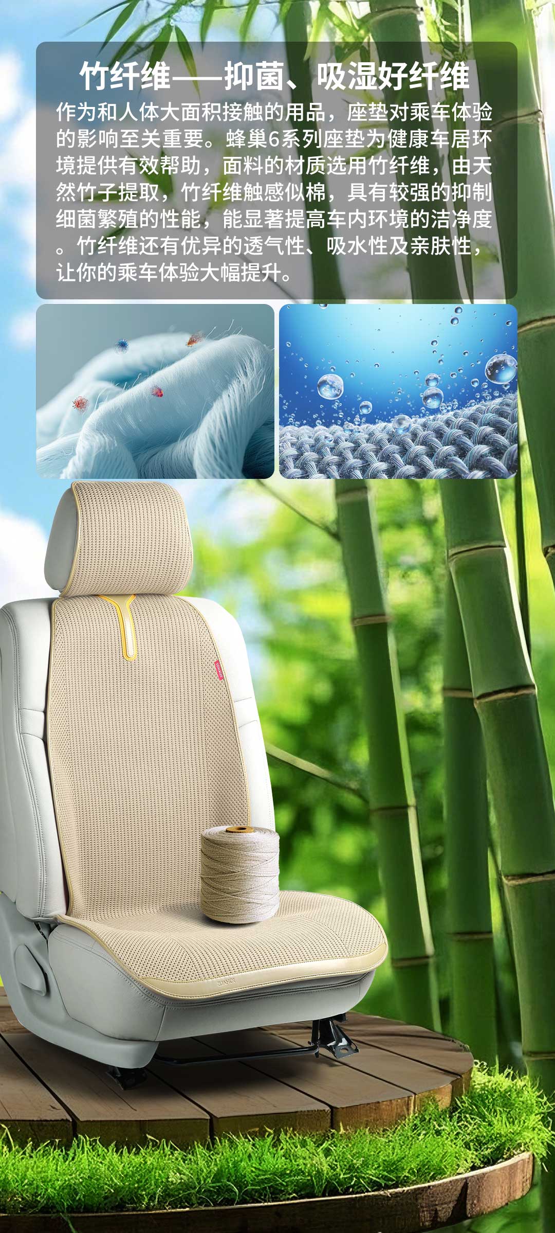 蜂巢6系列(图3)