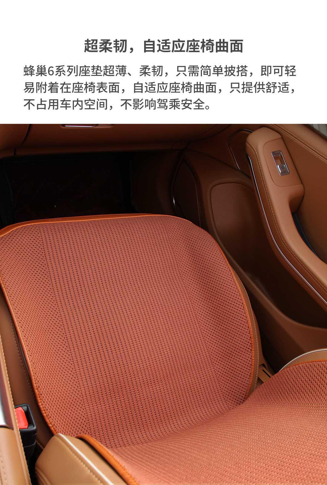 蜂巢6系列(图5)