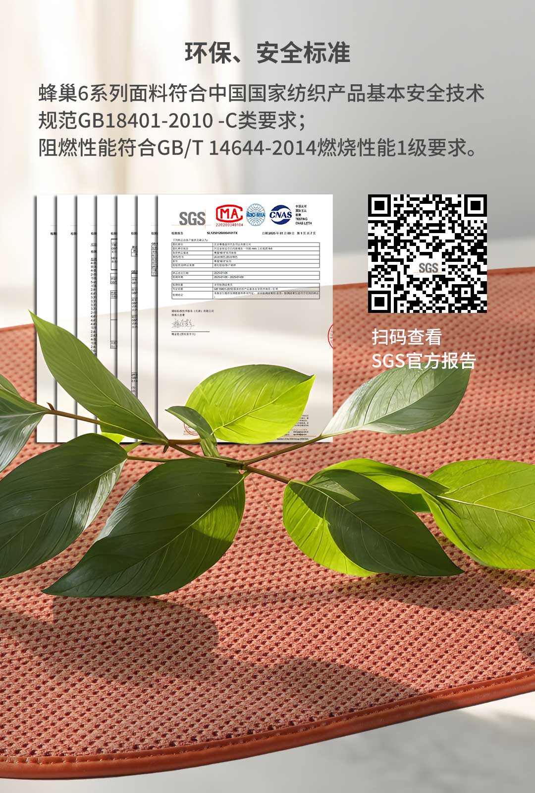 蜂巢6系列(图8)